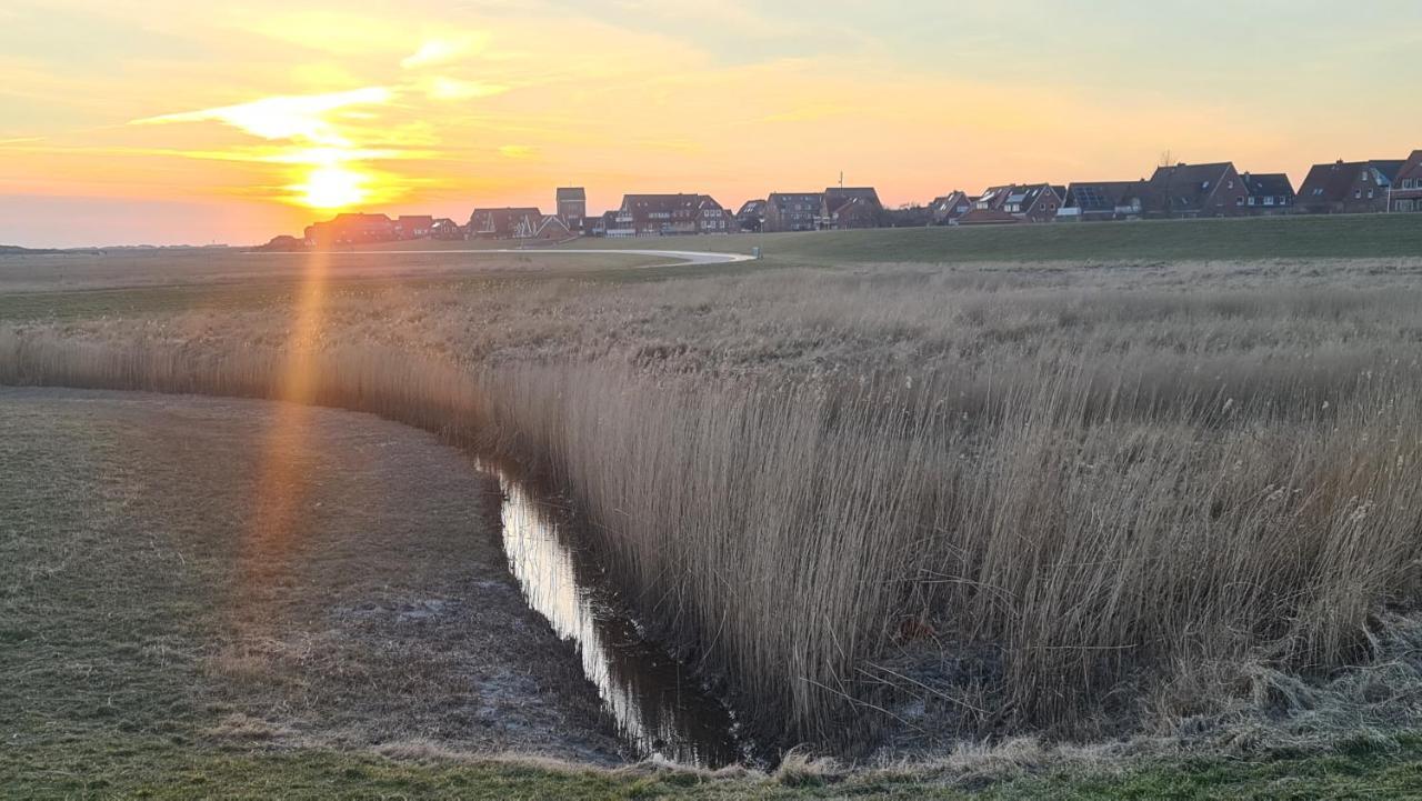 Seevilla Wietjes Whg 7 Baltrum Exterior foto